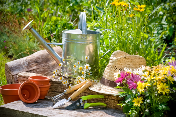 La jardinería orgánica es un enfoque sostenible y respetuoso con el medio ambiente para cultivar plantas y alimentos.